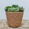 Hot Selling New Cork Flowerpot Various Shape Garden Basket High Quality Planter Pot Succulent Planter for Wholesale