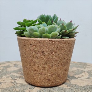 Hot Selling New Cork Flowerpot Various Shape Garden Basket High Quality Planter Pot Succulent Planter for Wholesale