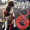 Hot selling pet  chain leads collar traction belt  dog leash