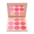 Import Hot Selling Pigment 9 Colors Mini Portable Makeup Blush Palette Private Label from China