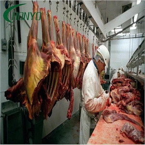 Hot Supplier Slaughtering Line in Meat Processing in Cattle House