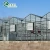 Import hydroponics greenhouse with glass greenhouse from China