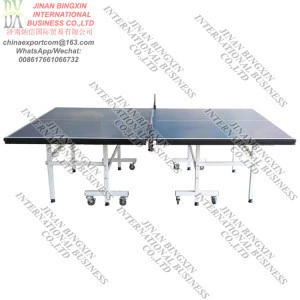Indoor Table Tennis Table