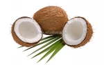 Instant Coconut milk Powder
