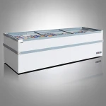 Jumbo Freezer 2.5m