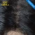 Import KBL sale have elastic band brazilian hair glueless full lace wig,from 100% natural girls hair wig from China