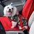 Import Kingtale Adjustable Pet Dog Cat Safety Leads Car Vehicle Nylon Fabric Pet Dog Seatbelt from China