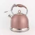 Import Kitchen stainless steel whsitling water tea kettles tea pot with ring nob from China