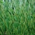 Import Landscaping Garden Grass Sport and straight yarn+ curly yarn yarn shape synthetic grass for home decoration from China