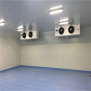 Large industrial freezer for meat refrigeration cold room