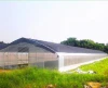 Large size and single-span multi span agricultural greenhouses type film greenhouse to be adjusted