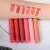 Import Long Lasting Moisturizing Waterproof Organic Matte Lipstick Make Your Own Label Lip Gloss from China