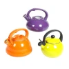 Low MOQ Induction Useful Whistling Water Tea Kettle Home Fashion Whistling Kettle