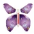 Import Magic Butterfly Flying in the Book Fairy Rubber Band Powered Wind Up Butterfly Toy Great Surprise for Wedding And Birthday Gifts from China