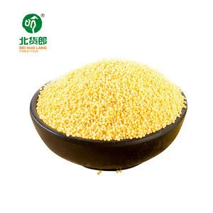 millet  Yellow Millet  cheap price best quality  hulled broomcorn millet