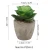 Mini artificial Succulent Plants Ideal for Both Indoor &amp; Outdoor with recycling pulp pot