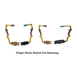 Mobile Phone Flex Cable for Samsung and other Cell Phone Parts