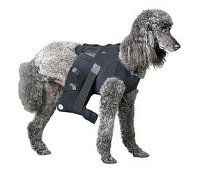 Most Popular protective VEST with Ehmer Sling for dogs pet product