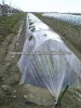 NEW 180 micron Transparent green house agriculture mulch film for vegetable warm