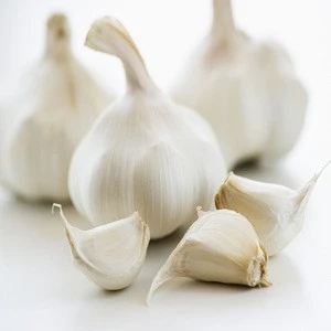 New Crop High Quality Fresh Normal White Garlic Purple Garlic Red Garlic