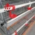 Import New Design H Type Quail Cage Full Automatic Equipment Layer Quail Cage from China
