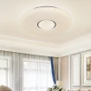 New Dimmable 24W Surface Mounted Ceiling Lamp LED Round Ceiling Light