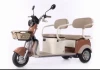 New Leisure Electric Tricycle Three Wheeler 500W