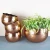 Import New Style High Quality Brass India Planters Style Vase from India