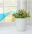 Import New style  meaty Japanese drip water jug squeeze watering can from China