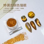 Newest High Quality Magnetic Cat Eye Bronze Nail Pigment Powder For Nail Art