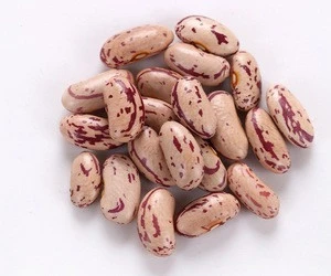 Non-GMO Light Speckled Kidney Beans, Dried Kidney Beans