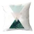 Import Nordic digital printing velvet pillow cactus silk cushion for home decorative from China