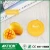 Import Novelty Function of Measuring Tools Tape Measure with Logo to Print from China