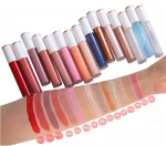OEM ODM Private Label Vegan Moisturizing Nude Plumping Matte Natural Lip Glaze Stick Lip Gloss Tube Lipstick Lipgloss