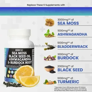 OEM  Sea Moss Capsules Complex Sea Moss Advanced Plus Turmeric Extract 95% with Bladderwrack & Burdock Root