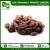 Import Organic Cocoa Beans from India