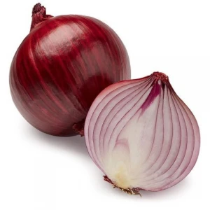 Pakistan fresh green onion