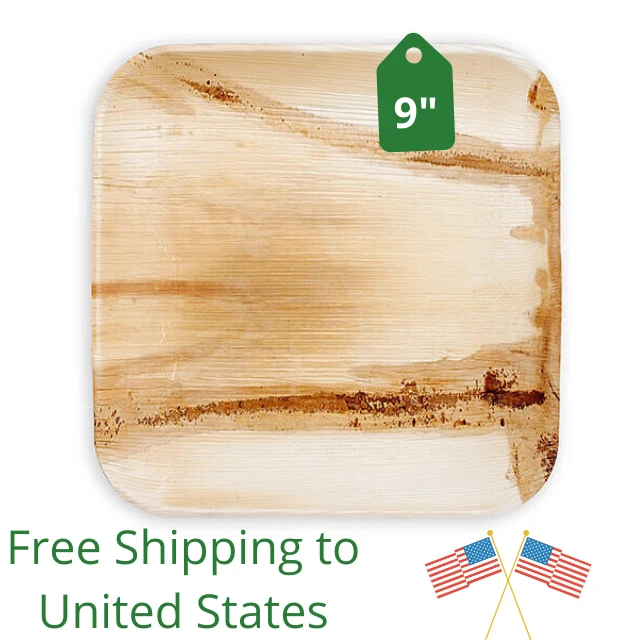 Palm Leaf Square 9 Inch (23 cm) Dinner Plate -  Biodegradable, All Natural - Pack of 25 plates | Free Shipping to United States