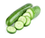 Philippines exported Fresh Cucumber
