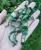 Import Plant Clips Green Box Packed Garden Clips for Tomato Other Vine Plants Trellis Clips Tomato Plant Support Upright Healthier Grow from China