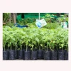 Plastic Root Control Planting Vegetable Grow Bag