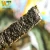 Import Premium Good Flavor Taste Healthy Grain Snack Dry Buckwheat Seaweed from Taiwan