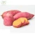 Import Premium selection factory price colourful bell pepper from China