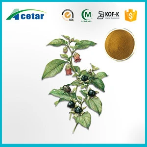 Pure natural belladonna herb organic atropa belladonna extract