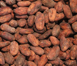 Pure Natural Cocoa / Organic COCOA BEANS