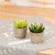 Import QSLH-PE043 Handmade Indoor Decorations Artificial Succulents Plants with Pot from China