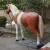 Import Realistic Life Size Horse Sculpture For Sale from China