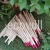 Import Red Eco Friendly Wood  Pencil from China