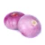 Import Red onion fresh in bulk with best price from Austria