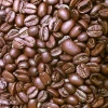 Roasted Coffee Bean Pack for Client